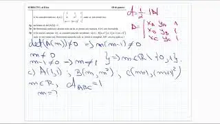 Bacalaureat 2020 - Mate-Info - Testul 13 - Subiectul 2 - Teste antrenament - Clasa a 12-a