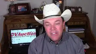 Cattle Market Summary:  CME Index Defies Gravity