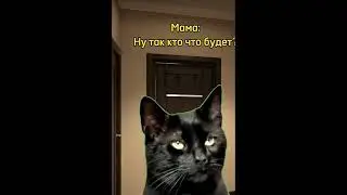 Кот перехитрил малого😱 @CasinoBekirSweetBonanza1000