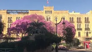 #lebanon #travel #trip #beirut #municipality #spring #trees #colors