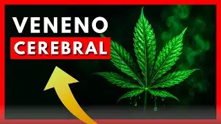 ✅️ 20 BENEFICIOS de Dejar de Fumar MARIHUANA (para siempre) || C&oacute;mo Dejar los Porros