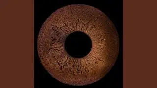 Black Hole