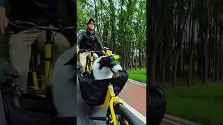 Top 3 unique cycles #shorts #shortsfeed #youtubeshorts