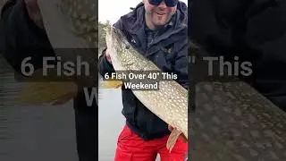 Land Of The Giant Pike #pikefishing #newwavefishing #georgianbay #howtocatchfish