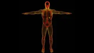 No I'm not Human (For Real this time, there were no issues with the previous stream)