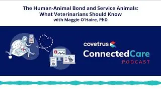 The Human-Animal Bond and Service Animals: What Veterinarians Should Know