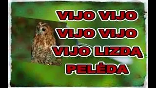 Pelėda - karaoke