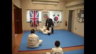 Cheongye Kwan Techniques