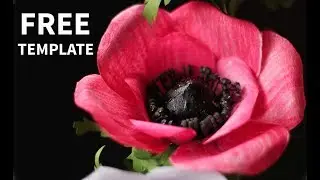 [FREE template] How to make paper Anemone flower