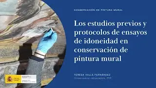 Teresa Valle. Estudios previos y protocolos de ensayos de idoneidad en pintura mural (14/17)