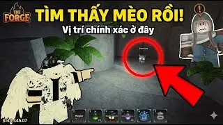 C&aacute;ch T&igrave;m M&egrave;o 