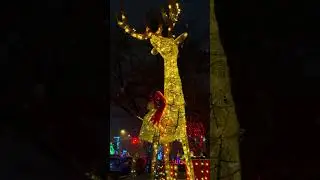 ✨ Christmas Magic in NYC 🎄 Vibrant