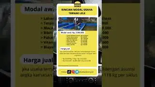 Rincian modal usaha ternak lele