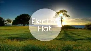 Electro Flat | PETIT BISCUIT - Sunset Lover
