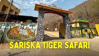 Sariska Tiger Reserve Safari (Baraliwari Gate)