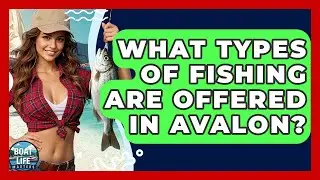 What Types Of Fishing Are Offered In Avalon? - Boat Life Masters