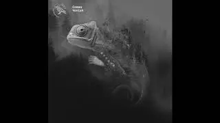 NVR-003 Camea - Vanish (Tobias. Remix)