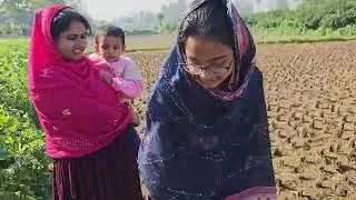 পরের জমির খিরাই চুরি করে খেলো তারা এবং আয়াত | Tara Agro |