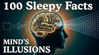 The Most Relaxing Facts About Perceptual Illusions to Fall Asleep To
