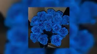 rebel - mlizzy (sped up) | if I&rsquo;m lying I&rsquo;m flying
