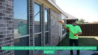 The Best Pest Control in Sachse Tx