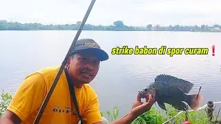 BENAR DUGAAN SAYA❗️Si babon menanti di spot curam #fishing #mancing #mancingmania 