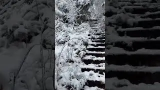 #winter #winterwonderland #life #nature #youtube #shorts #click #views #landscape #video #wandern