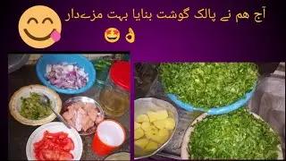 Aaj hmara 1st vlog or palak gosht b bnaya #dailyvlog #pakistanivlogger #simplelife #dasivlogs