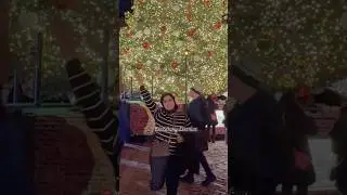 Distillery District Christmas Market Toronto Canada | Holiday decor 8 #christmasintoronto #shorts