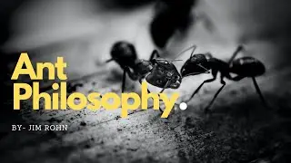 Ant Philosophy By Jim Rohn -  Motivational Video