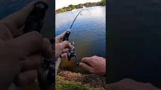 What is it? - Ultralight Fishing #ultralightfishing