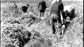 1938 Hurricane Hits New England