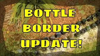 Wine Bottle Border UPDATE!!