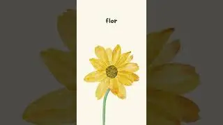 Nature Words in SPANISH
