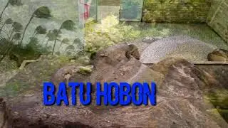 SEJARAH BATU HOBON || TEMPAT HARTA KARUN RAJA BATAK @marimarngchannel9306