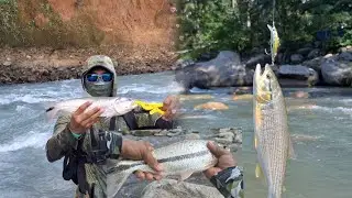 pesca de SARDINATAS CHOJAS y PICUDAS de los maestros del señuelo Kevin Acero y Helberth gonzales