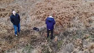 Droning on