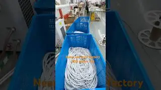 50 meter roll 200 meter roll IP67 IP68 Neon flex led strip waterproof , china factory ship directly
