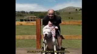 El Dogo Argentino - Sergio Sanchez