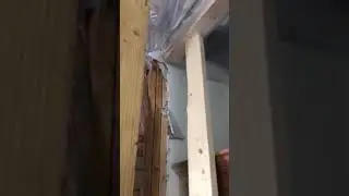 Termite damage grand oaks