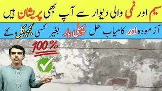 Damp wall repair | Wall seepage solution | Wall waterproofing @MSulemanTech
