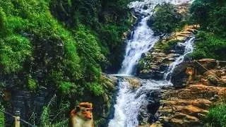 Ella | BADULLA | Sri Lanka