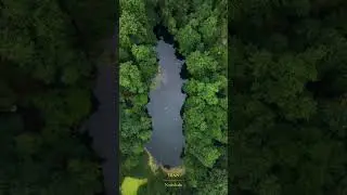 In the heart of Iran's forests, this time in Nowshahr #jungle #natural #water