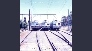 Macleod x Script