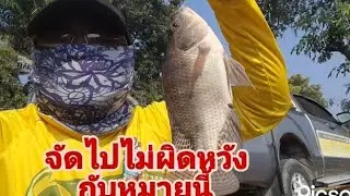มาออกหมายที่นี่ไม่เคยผิดหวังปลาคลองธรรมชาติอย่างโบ้ๆ  15/1/69#ศักดาchannel