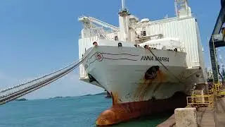 KEREN!!!!!! INI LAH KAPAL MEMBAWA SAPI-SAPI IMPORT,KE SEMUA NEGARA#BATAM