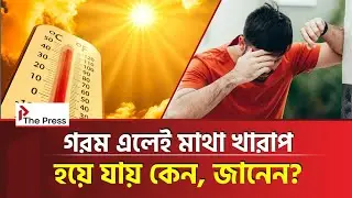 গরমের সাথে মেজাজ খারাপ হওয়ার সম্পর্ক কী? | Heatwave Health Risks | The Press