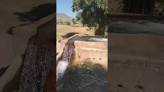 Tubewell water irrigating crops #explore #beauty #villagelife #travel #villagephotography #photo