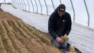 Fertile ground in rural Alaska at Meyers Farm