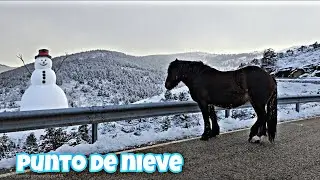SIN QUERER TERMINAMOS AQUI 